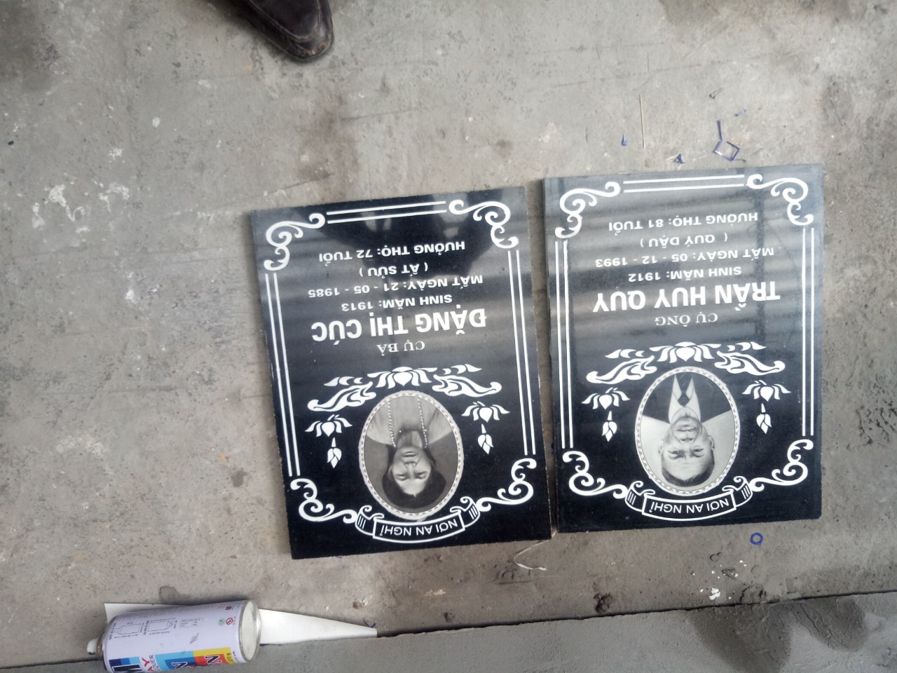 5e54f25bd62831766839